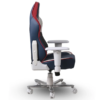 SKILLCHAIRS-SC-MINI-FLORIAN-4.png SKILLCHAIRS SC MINI FLORIAN